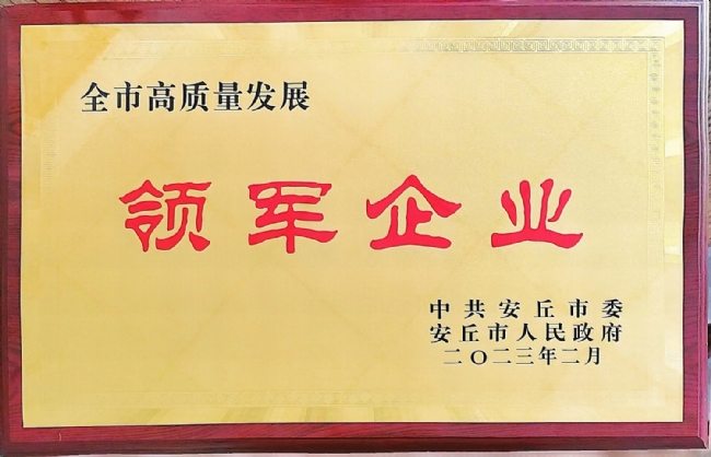 2023 全市高質(zhì)量發(fā)展領軍企業(yè)